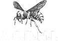 Logo ACDNI